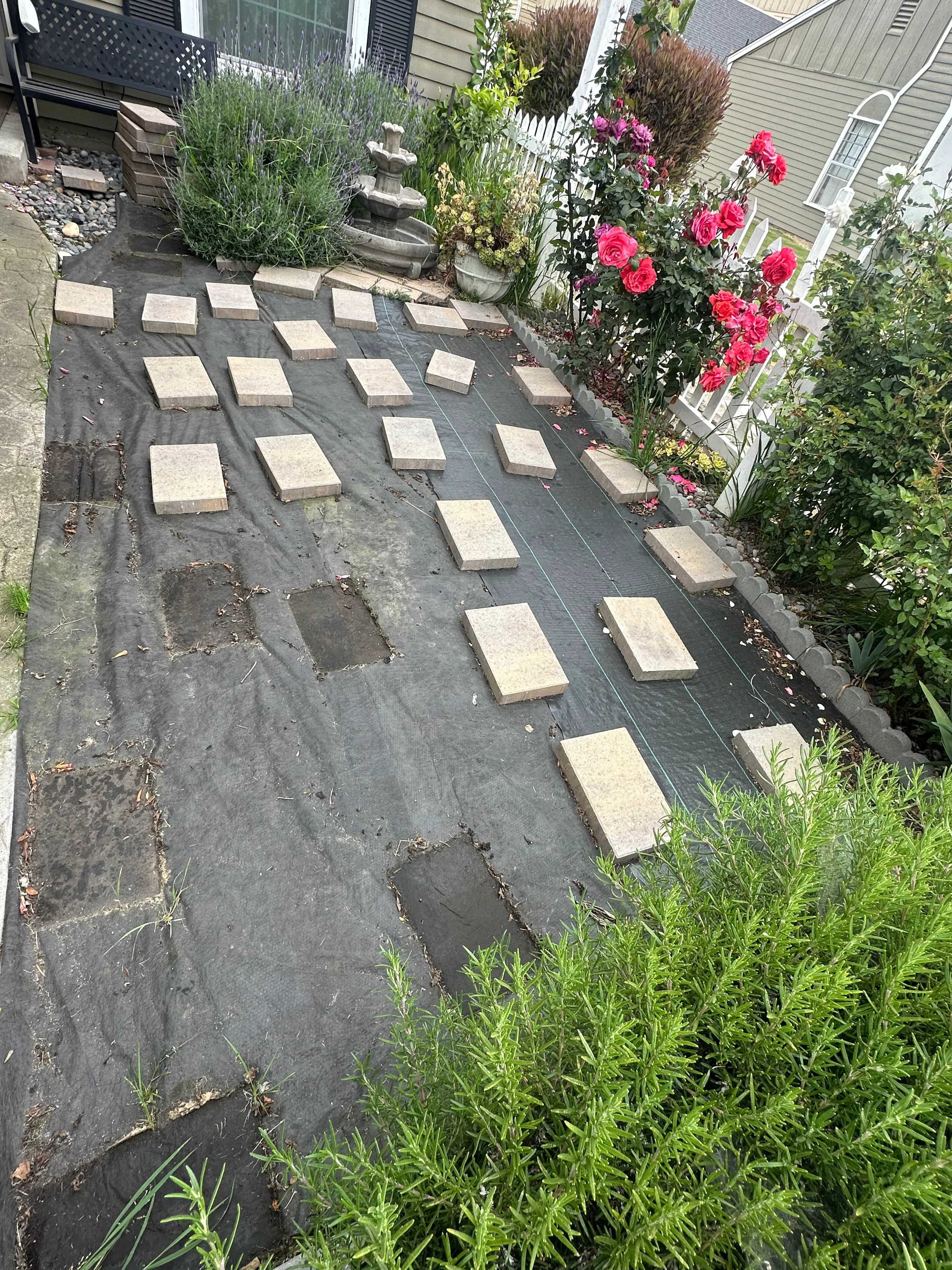 Before landscaping