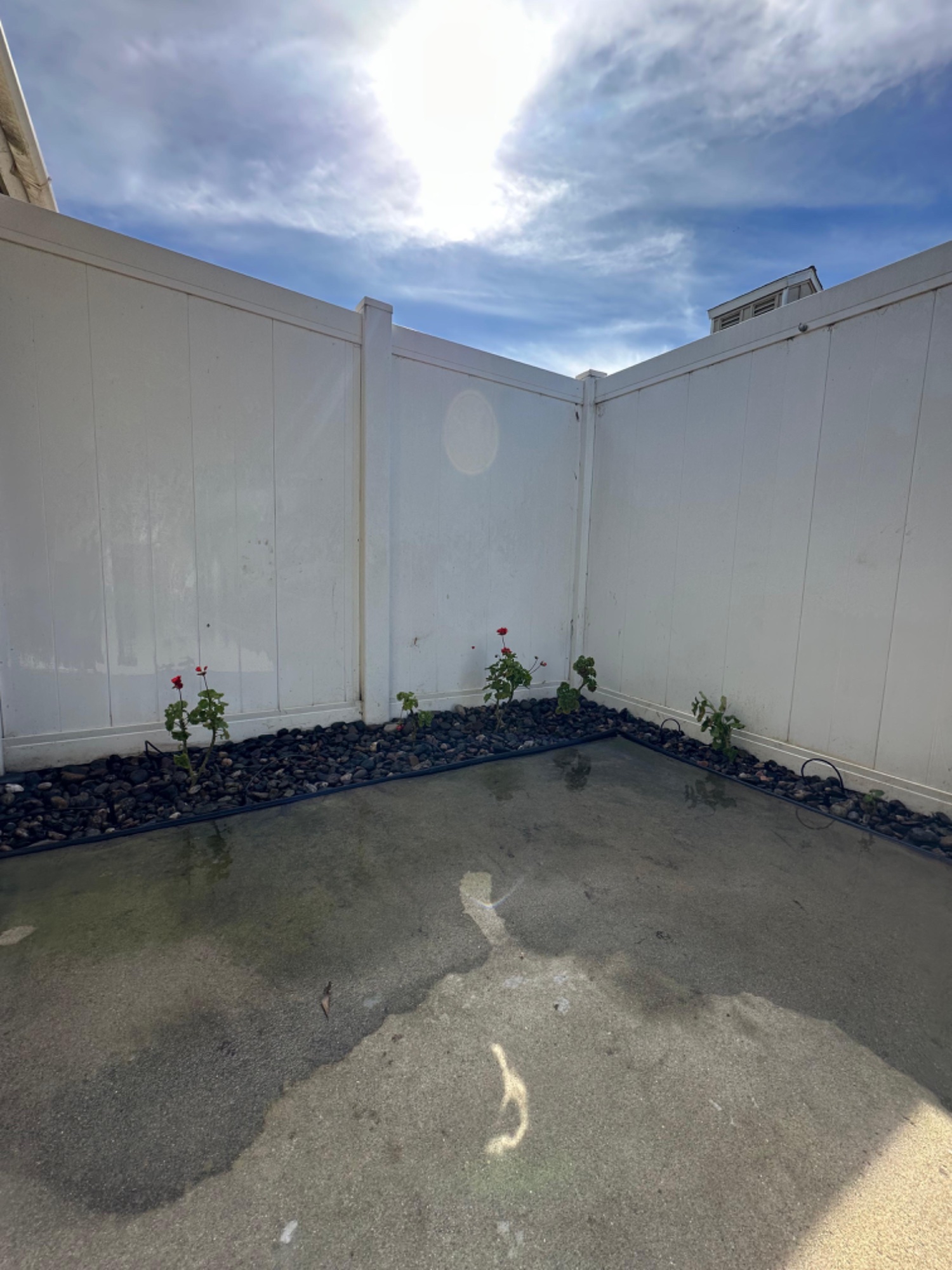 Garden Bed with Black Rock