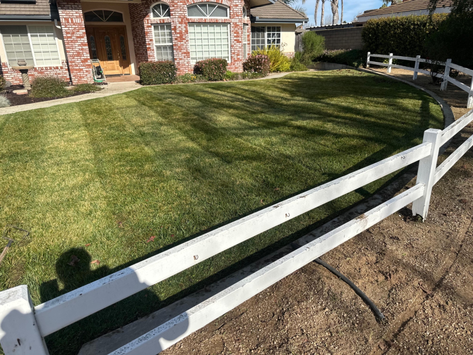 Sod Lawn Installation